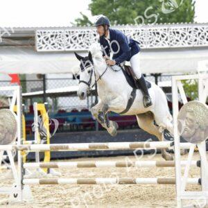Constantine : coup d'envoi du concours national de saut d’obstacles d'équitation au club Etoile de l’Est