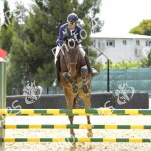 Constantine : coup d'envoi du concours national de saut d’obstacles d'équitation au club Etoile de l’Est