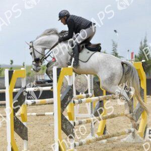 Constantine : coup d'envoi du concours national de saut d’obstacles d'équitation au club Etoile de l’Est