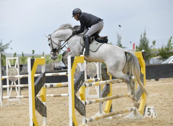 Constantine : coup d'envoi du concours national de saut d’obstacles d'équitation au club Etoile de l’Est