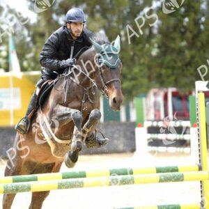 Constantine : coup d'envoi du concours national de saut d’obstacles d'équitation au club Etoile de l’Est