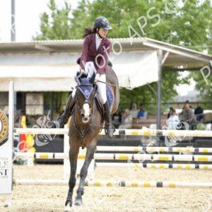 Constantine : coup d'envoi du concours national de saut d’obstacles d'équitation au club Etoile de l’Est