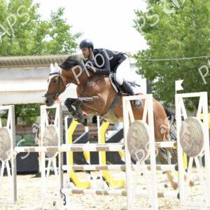 Constantine : coup d'envoi du concours national de saut d’obstacles d'équitation au club Etoile de l’Est