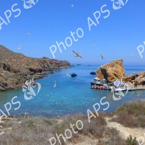 Oran : la ministre de l'Environnement en visite d'inspection aux Îles Habibas
